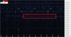 ON5 EX- W2 VV