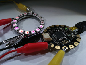 Adafruit FLORA and Neopixel ring