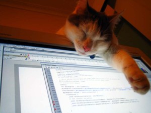Computer Cat 01