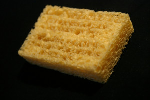 Expanded Sponge
