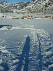 Luge under construction