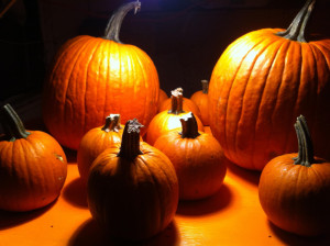 Pumpkins to hack