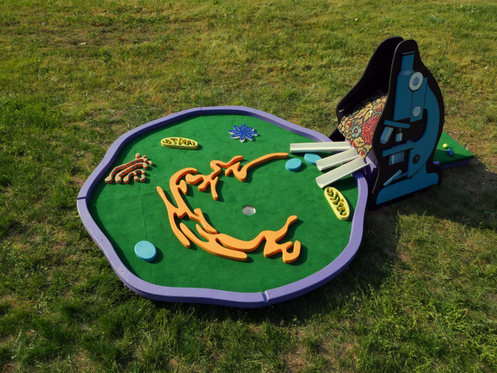 human-cell-mini-golf-47